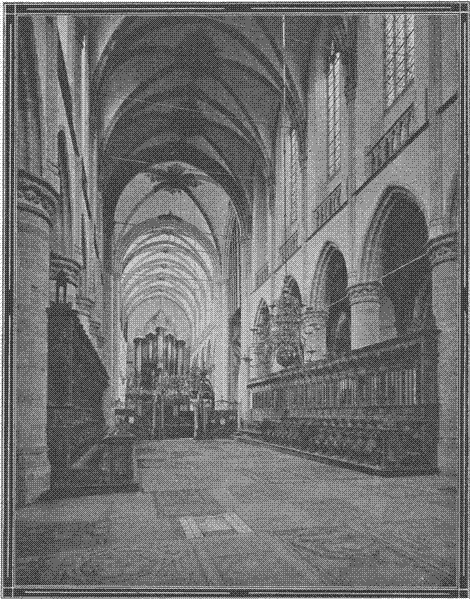 illustratie