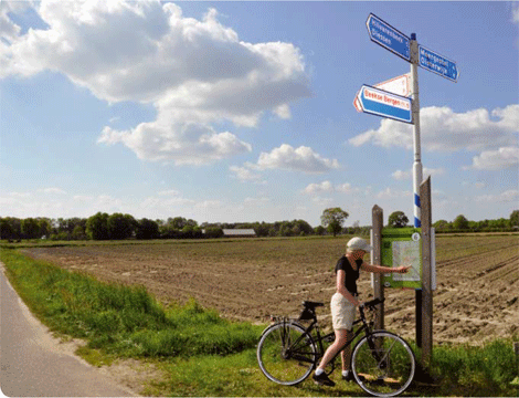 illustratie