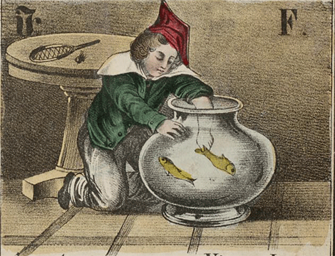 illustratie