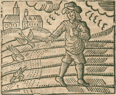 illustratie