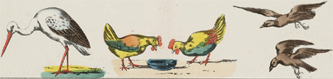 illustratie