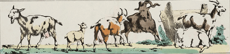 illustratie