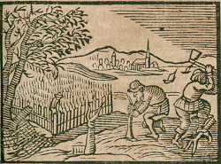 illustratie