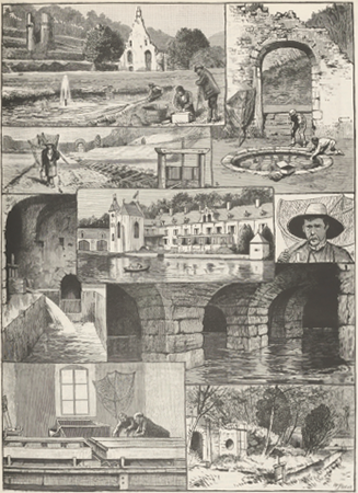 illustratie