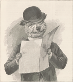 illustratie