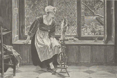 illustratie