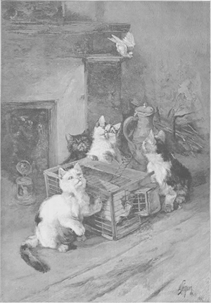 illustratie