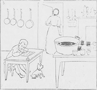 illustratie