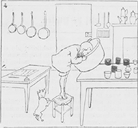 illustratie