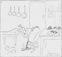 illustratie