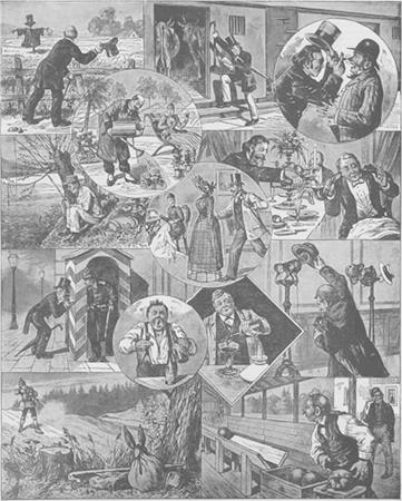illustratie