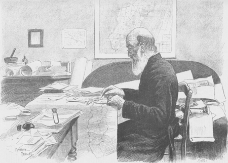 illustratie