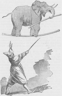 illustratie