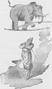 illustratie