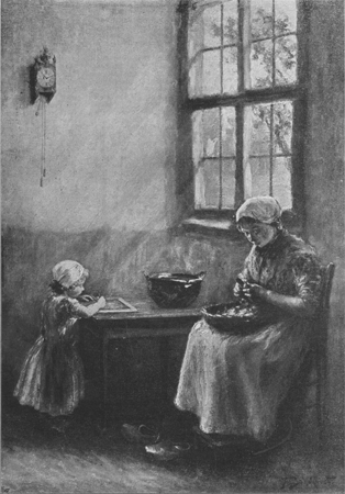 illustratie