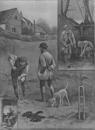 illustratie