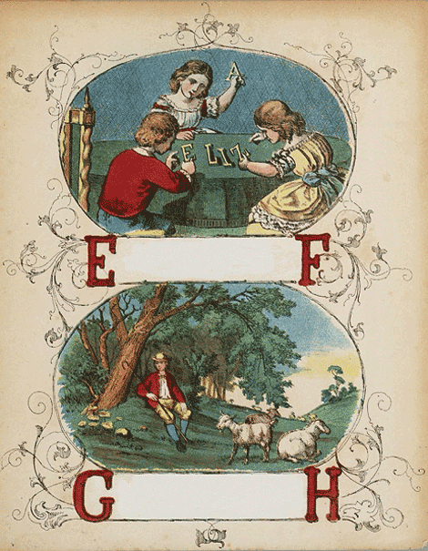 illustratie