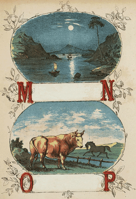 illustratie