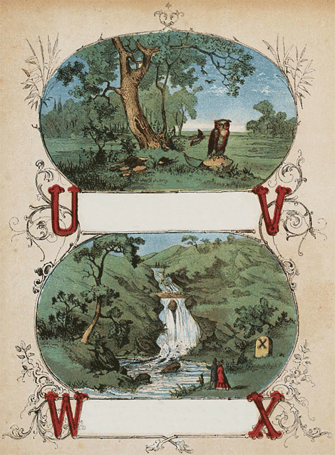 illustratie