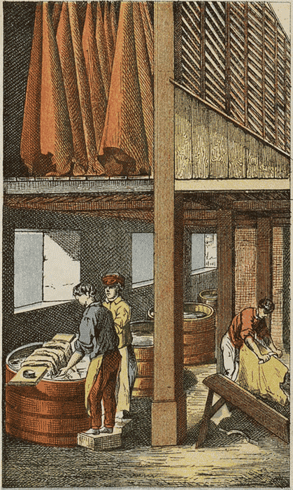 illustratie