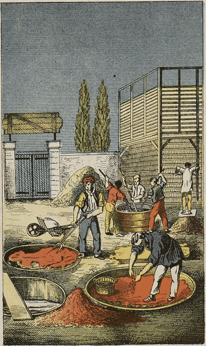 illustratie