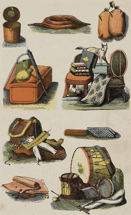 illustratie