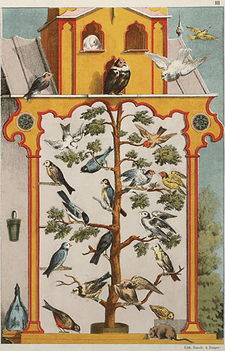 illustratie