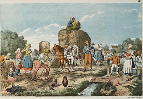illustratie