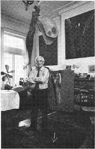 illustratie