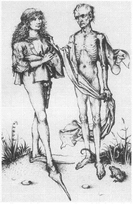 illustratie