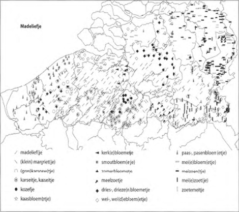 illustratie