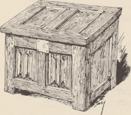 illustratie