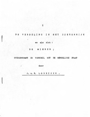 illustratie