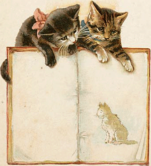 illustratie