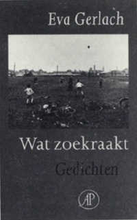 illustratie