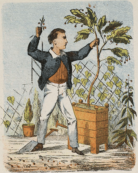 illustratie