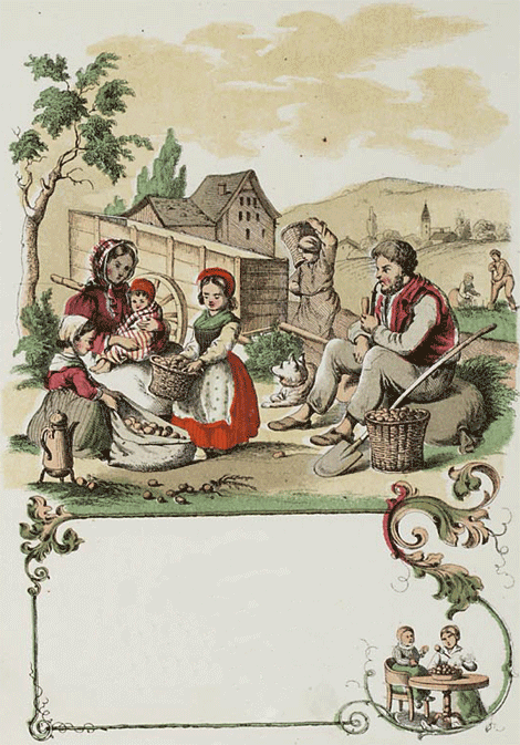 illustratie