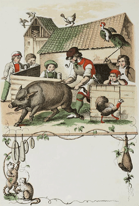 illustratie