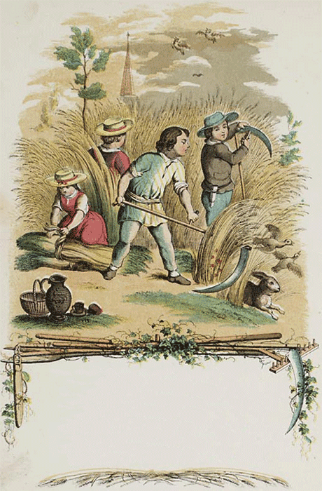 illustratie