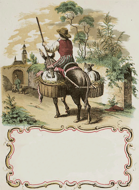 illustratie