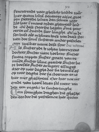 illustratie
