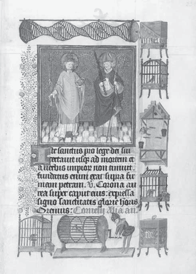 illustratie