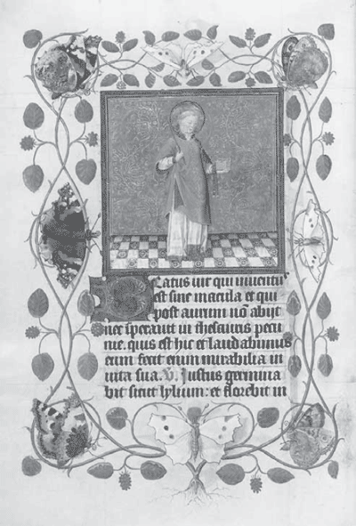 illustratie