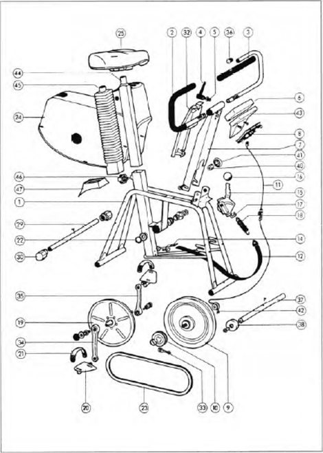 illustratie