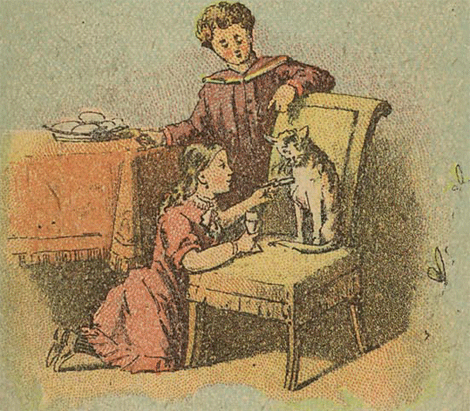 illustratie