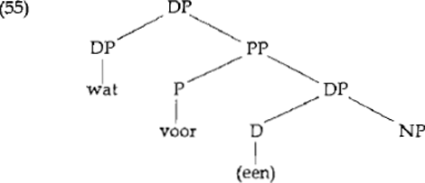 illustratie