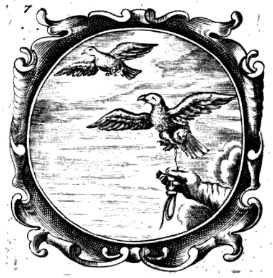 illustratie