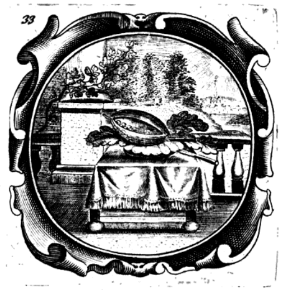 illustratie