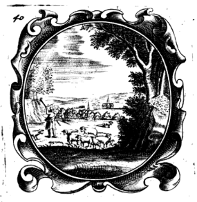 illustratie