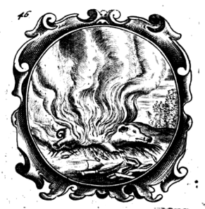 illustratie
